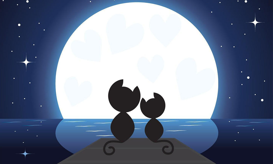 金华潮客汇微信活动策划案例